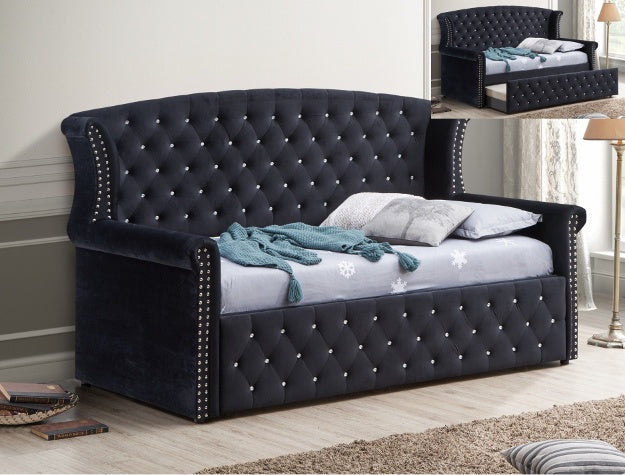 Lucinda Black Velvet