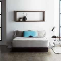 CarbonCool® LT + Omniphase Shoulder Pillow - Mattress Doctor Lafayette