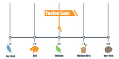 M Lily Fusion Luxe 12.5" Cool Gel Memory Foam Mattress - Mattress Doctor Lafayette